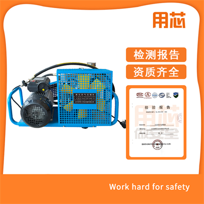 YX100L 空氣填充泵 YX100L 空氣填充泵